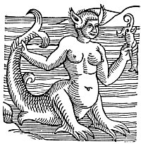 A MERMAID.